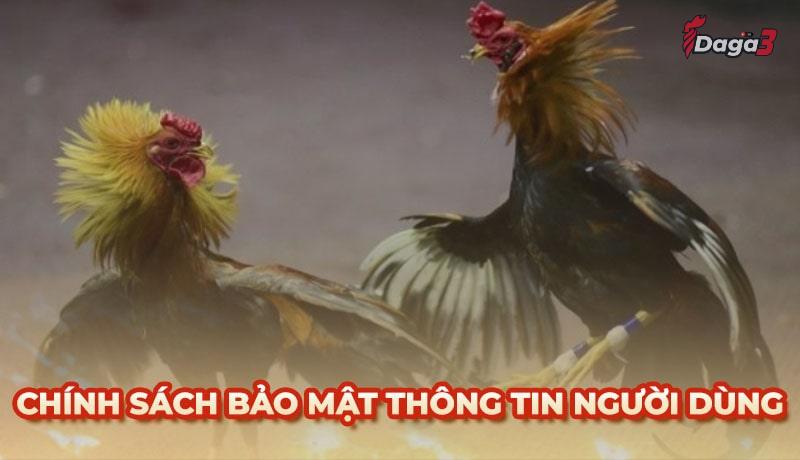 Chính sách bảo mật thông tin người dùng tại durra.live