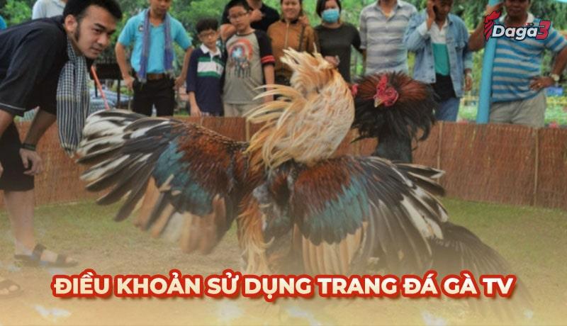 Thông tin về điều khoản sử dụng tại Đá Gà TV