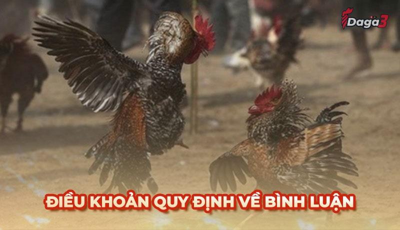 Người dùng cần tuân thủ một số điều khoản khi bình luận trên durra.live