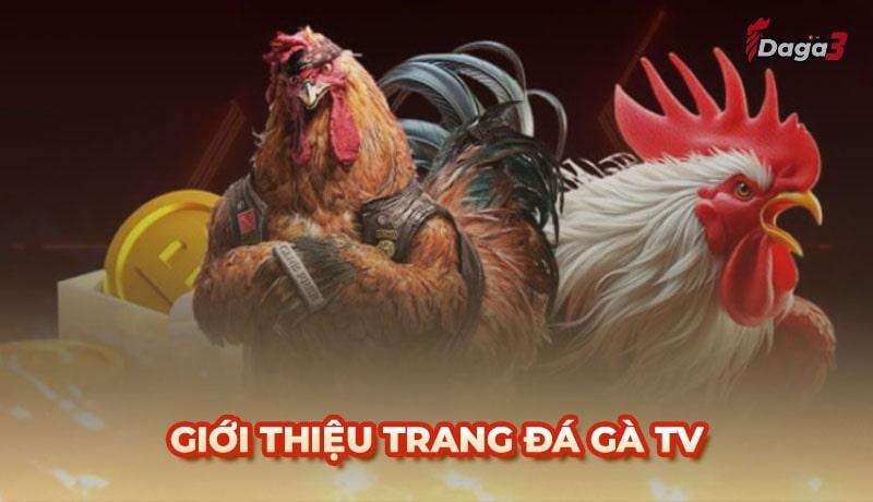 Thông tin giới thiệu trang web phát đá gà trực tiếp DAga3.tv