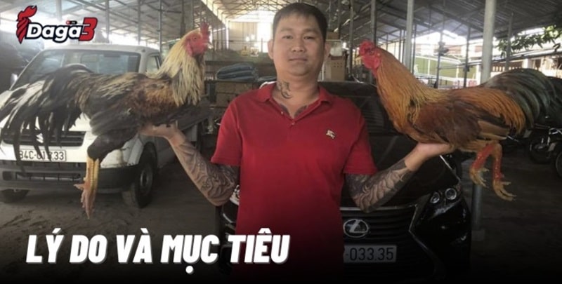 Mít Trà Cú sáng lập trang đá gà trực tiếp durra.live